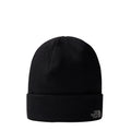 Caciula Barbati The North Face Norm Shallow