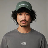 Sapca The North Face Roomy Norm   Sapca The North Face Roomy Norm