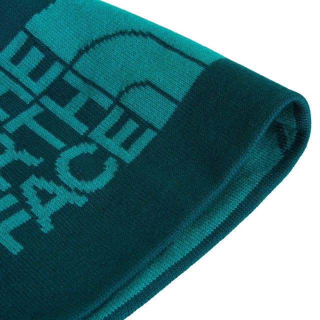 Caciula The North Face Rev Highline   Caciula The North Face Rev Highline