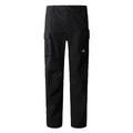 Pantaloni Barbati The North Face M Anticline Cargo