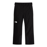 Pantaloni Barbati The North Face M Descendit   Pantaloni Barbati The North Face M Descendit