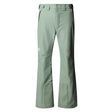 Pantaloni Barbati The North Face M Descendit   Pantaloni Barbati The North Face M Descendit