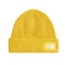 Caciula Unisex The North Face Salty Lined   Caciula Unisex The North Face Salty Lined