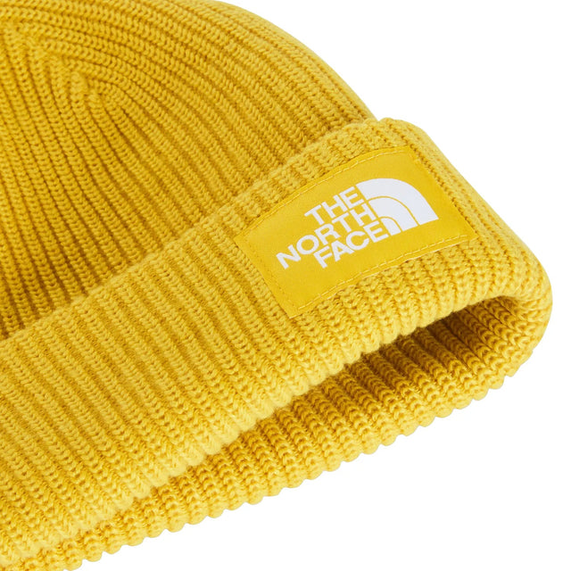 Caciula Unisex The North Face Salty Lined   Caciula Unisex The North Face Salty Lined