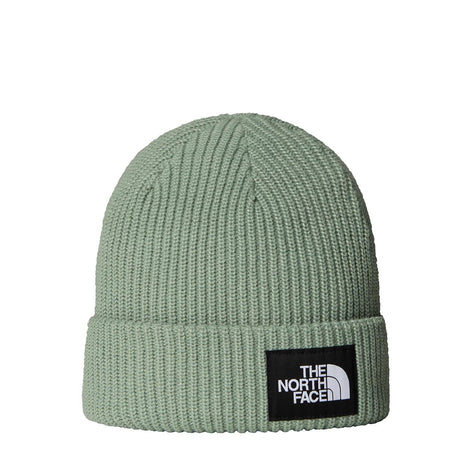 Caciula Barbati The North Face Salty Lined