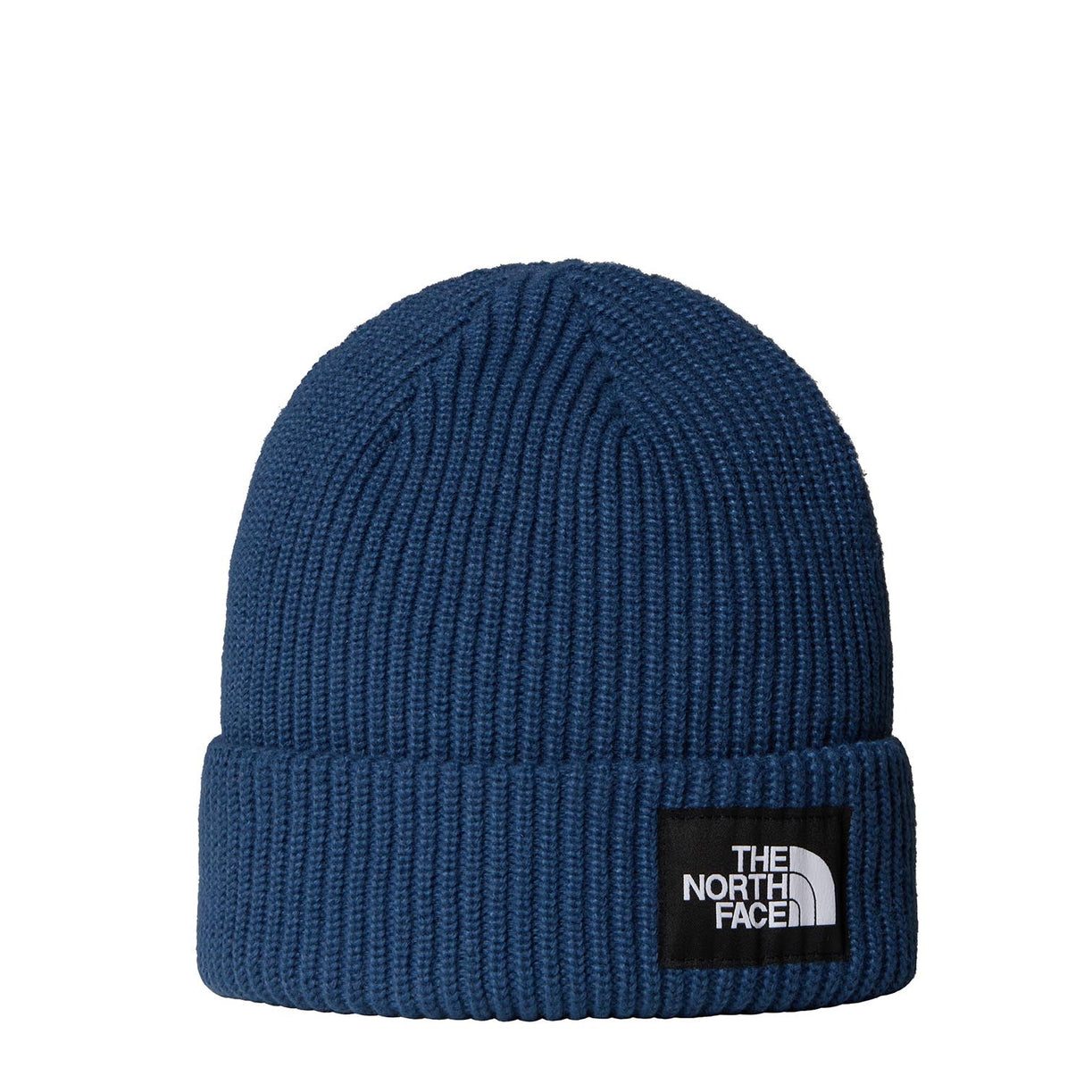 Caciula Barbati The North Face Salty Lined