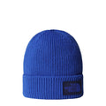 Caciula unisex The North Face Tnf Logo Box Cuffed
