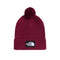 Caciula Unisex The North Face Tnf Logo Box Pom   Caciula Unisex The North Face Tnf Logo Box Pom