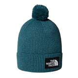 Caciula unisex The North Face Tnf Logo Box Pom