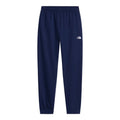 Pantaloni Barbati The North Face M Evolution Simple Dome Jogger   Pantaloni Barbati The North Face M Evolution Simple Dome Jogger