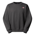 Bluza Unisex The North Face U Expedition Celebration Oversized Crew