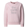 Bluza Fete The North Face G Reflective Logo Relaxed Crew