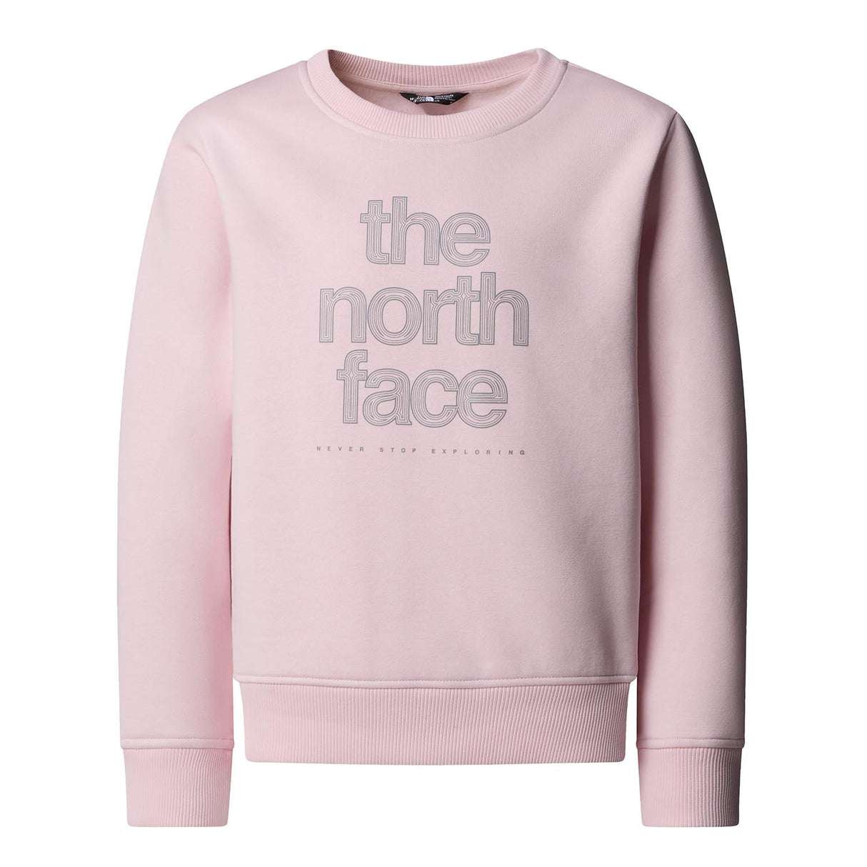 Bluza Fete The North Face G Reflective Logo Relaxed Crew