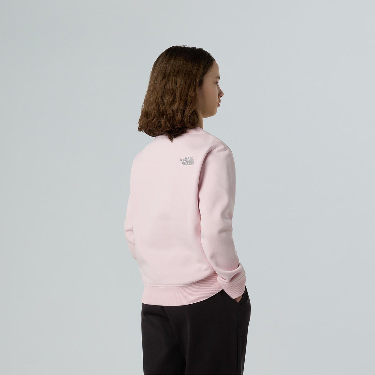 Bluza Fete The North Face G Reflective Logo Relaxed Crew