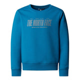 Bluza Baieti The North Face B Reflective Logo Relaxed Crew