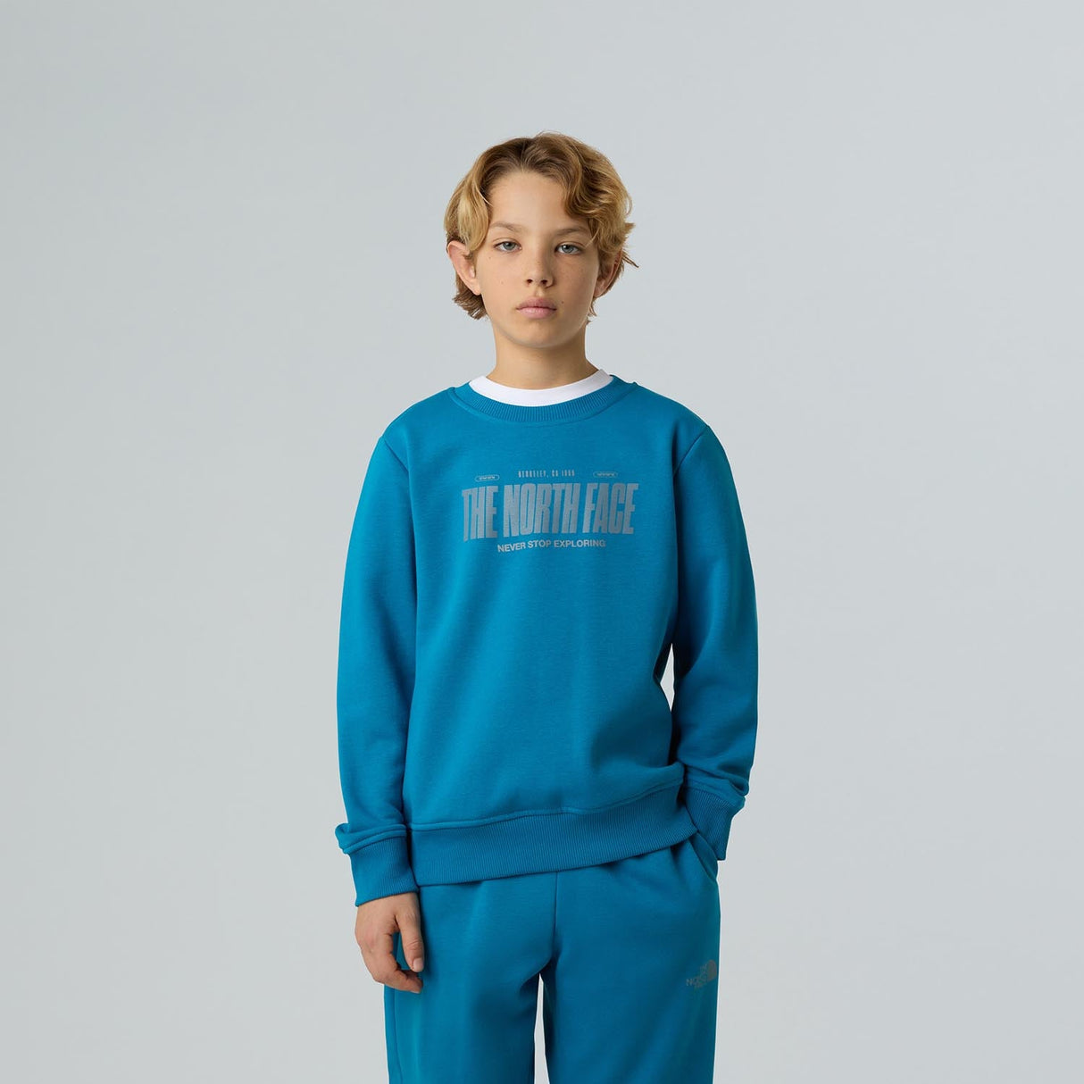 Bluza Baieti The North Face B Reflective Logo Relaxed Crew
