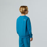 Bluza Baieti The North Face B Reflective Logo Relaxed Crew