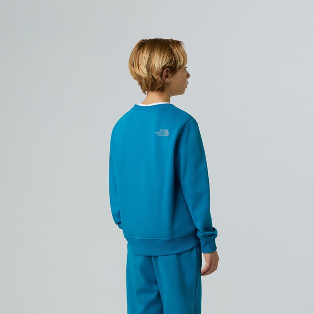 Bluza Baieti The North Face B Reflective Logo Relaxed Crew   Bluza Baieti The North Face B Reflective Logo Relaxed Crew
