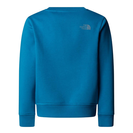 Bluza Baieti The North Face B Reflective Logo Relaxed Crew