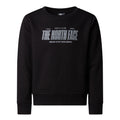 Bluza Baieti The North Face B Reflective Logo Relaxed Crew