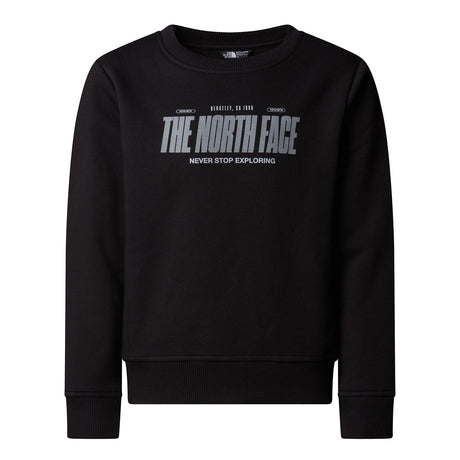 Bluza Baieti The North Face B Reflective Logo Relaxed Crew