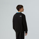Bluza Baieti The North Face B Reflective Logo Relaxed Crew