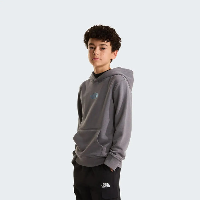 Hanorac Copii The North Face B Liquid Logo Regular Graphic   Hanorac Copii The North Face B Liquid Logo Regular Graphic