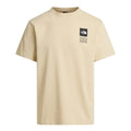 Tricou Barbati The North Face M Icon Celebration Regular Graphic   Tricou Barbati The North Face M Icon Celebration Regular Graphic