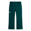 Pantaloni Schi Barbati The North Face M Freedom Insulated   Pantaloni Schi Barbati The North Face M Freedom Insulated