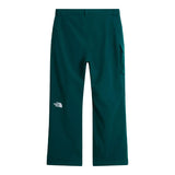Pantaloni Schi Barbati The North Face M Freedom Insulated   Pantaloni Schi Barbati The North Face M Freedom Insulated
