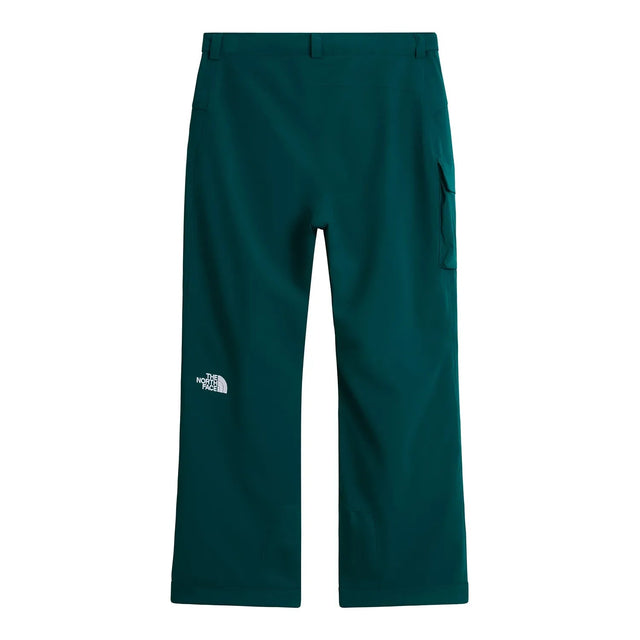 Pantaloni Schi Barbati The North Face M Freedom Insulated   Pantaloni Schi Barbati The North Face M Freedom Insulated