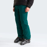 Pantaloni Schi Barbati The North Face M Freedom Insulated   Pantaloni Schi Barbati The North Face M Freedom Insulated