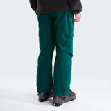 Pantaloni Schi Barbati The North Face M Freedom Insulated   Pantaloni Schi Barbati The North Face M Freedom Insulated