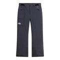 Pantaloni Schi Barbati The North Face M Freedom Insulated   Pantaloni Schi Barbati The North Face M Freedom Insulated