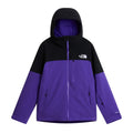 Geaca Schi Barbati The North Face M Freedom Insulated   Geaca Schi Barbati The North Face M Freedom Insulated