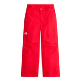 Pantaloni Schi Copii The North Face B Freedom Insulated   Pantaloni Schi Copii The North Face B Freedom Insulated