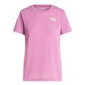 Tricou Femei The North Face W Foundation Mount   Tricou Femei The North Face W Foundation Mount