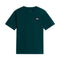 Tricou Barbati The North Face M Monte Graphic   Tricou Barbati The North Face M Monte Graphic