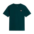 Tricou Barbati The North Face M Monte Graphic   Tricou Barbati The North Face M Monte Graphic