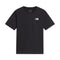 Tricou Barbati The North Face M Mountainscape   Tricou Barbati The North Face M Mountainscape