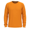 Bluza Smartwool M Active Ultralite