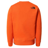 Bluza Copii The North Face Y Box Crew   Bluza Copii The North Face Y Box Crew
