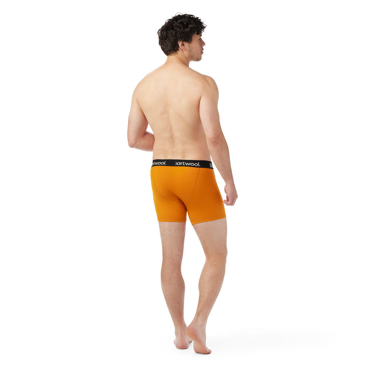 Boxer Barbati Smartwool M Brief Boxed