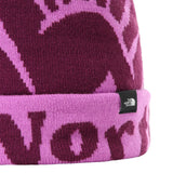 Caciula Copii The North Face Y Ski Tuke 2020   Caciula Copii The North Face Y Ski Tuke 2020