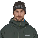 Caciula Patagonia Beanie