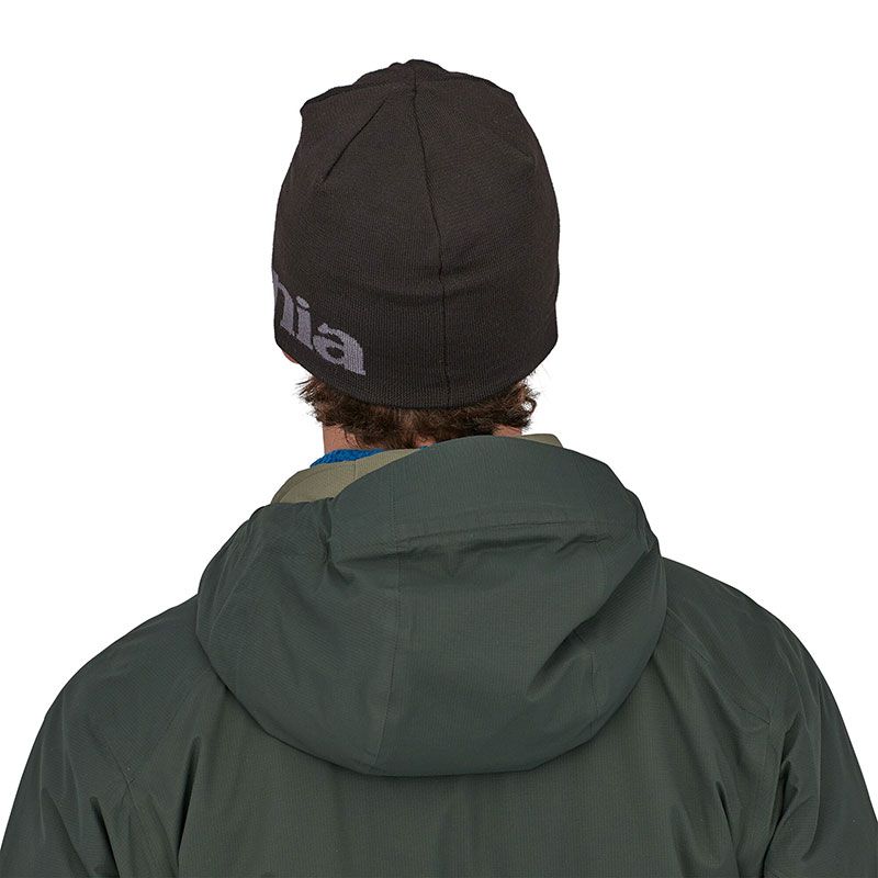 Caciula Patagonia Beanie