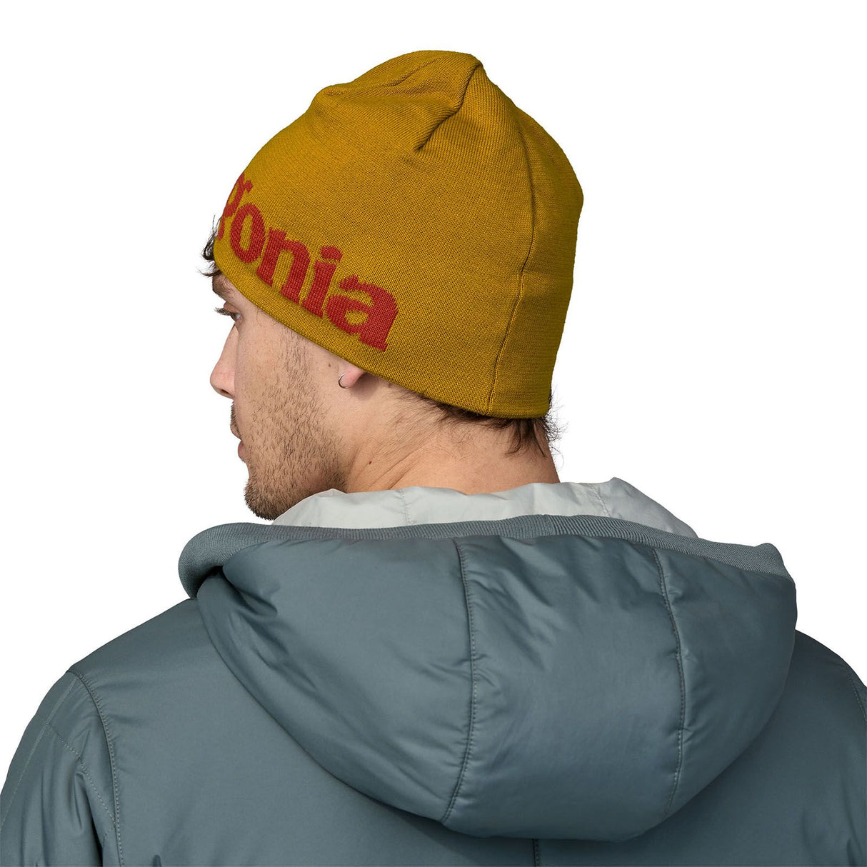 Caciula Patagonia Beanie