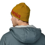 Caciula Patagonia Beanie