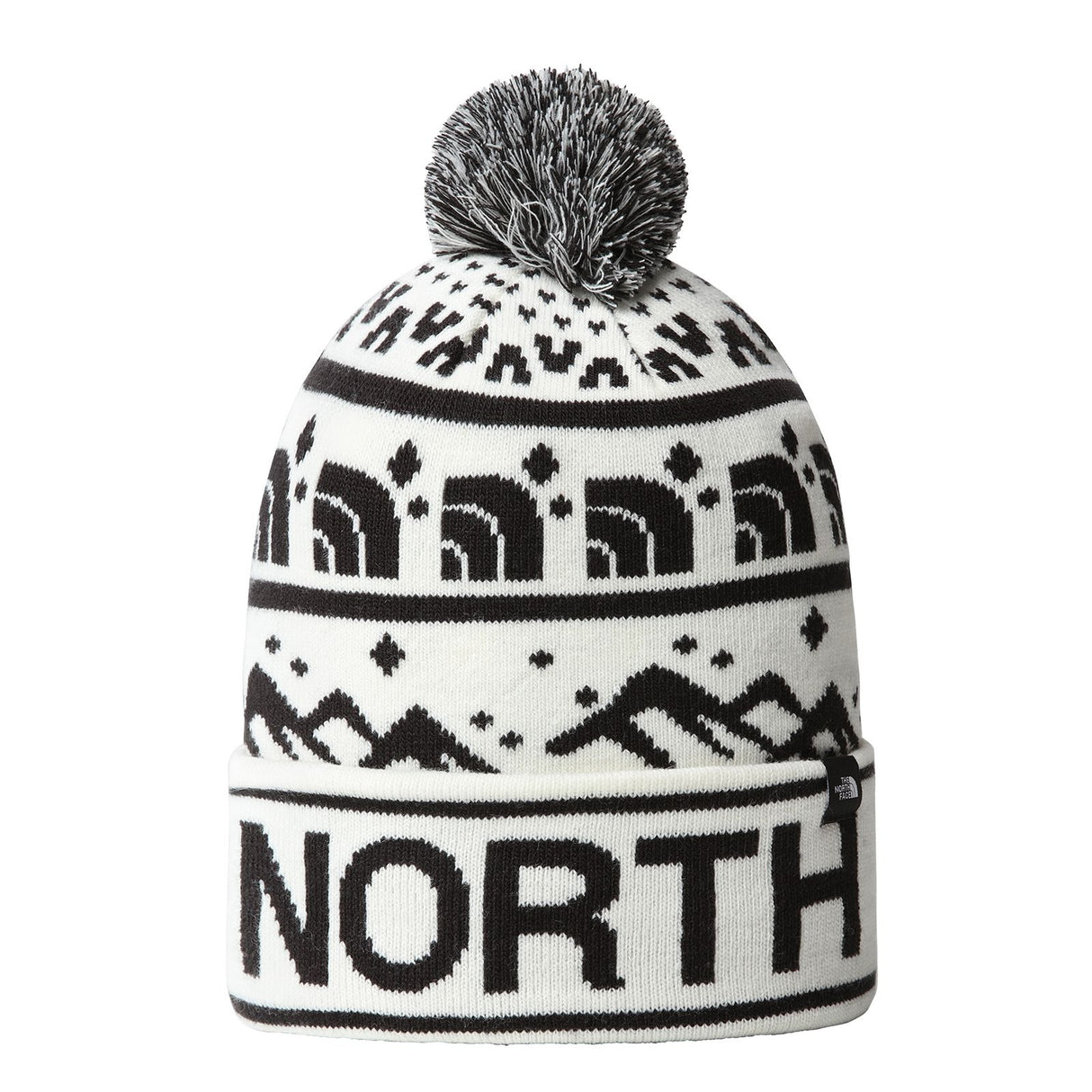 Caciula The North Face Ski Tuke