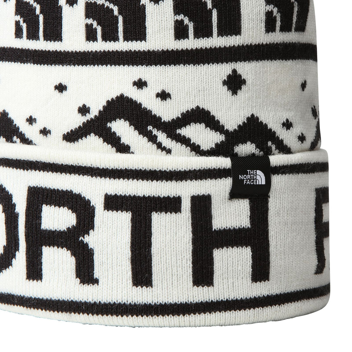 Caciula The North Face Ski Tuke